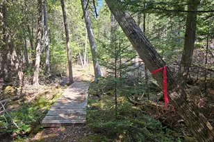 901 Mann Hill Rd, Holden, ME 04429 - Photo 40