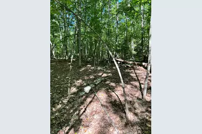 #56 S South Waterboro Road, Lyman, ME 04002 - Photo 4