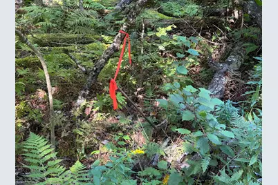 Map 9 Lot 6 Raspberry Lane, Ripley, ME 04930 - Photo 6