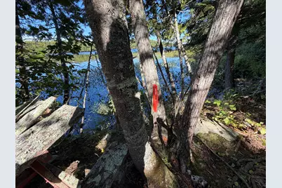 Map 9 Lot 6 Raspberry Lane, Ripley, ME 04930 - Photo 14