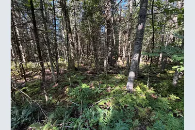 Map 9 Lot 6 Raspberry Lane, Ripley, ME 04930 - Photo 8