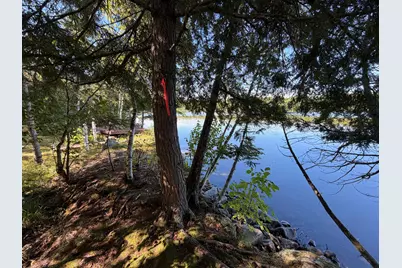 Map 9 Lot 6 Raspberry Lane, Ripley, ME 04930 - Photo 12