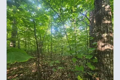 221 Sabattus Trail Road, Lovell, ME 04051 - Photo 22