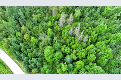 Lot 33-1A Smith Road, Cary, ME 04471 - Photo 18