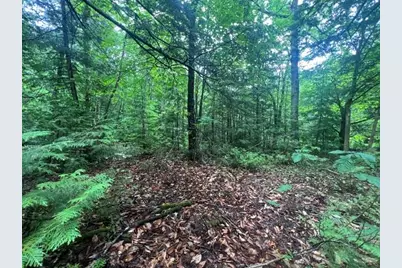 Lot 3 Off New Limerick Road, Linneus, ME 04730 - Photo 14