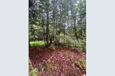Lot 3 Off New Limerick Road, Linneus, ME 04730 - Photo 16