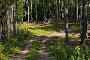 21 Mighty St, Gorham, ME 04038 - Photo 62