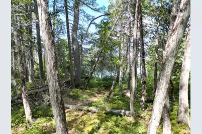 Lot 3 Off North Shore Road, Lake View Plantation, ME 04463 - Photo 8