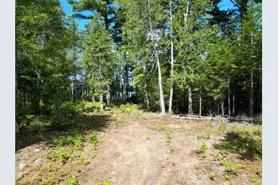 Lot 3 Off North Shore Road, Lake View Plantation, ME 04463 - Photo 6