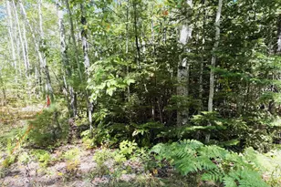 Lot 00500E West Hamlet Rd, Newcastle, ME 04553 - Photo 1