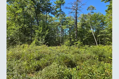 298 Gore Road, Naples, ME 04055 - Photo 6