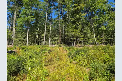 298 Gore Road, Naples, ME 04055 - Photo 4