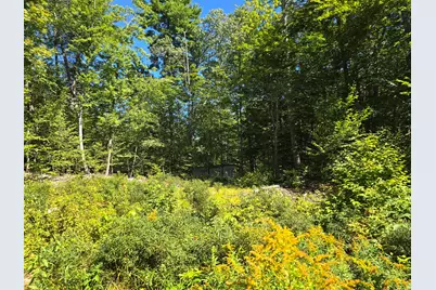 298 Gore Road, Naples, ME 04055 - Photo 2