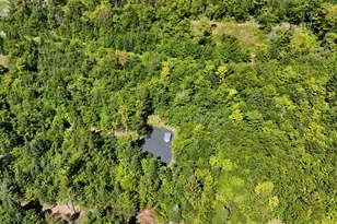 38 Black Bear Ln, Greenville, ME 04441 - Photo 1