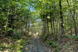 Lot 11 Baker Pond Rd, Solon, ME 04979 - Photo 1