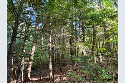 Lot 11 Baker Pond Road, Solon, ME 04979 - Photo 6