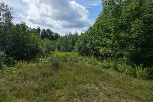 4 Peek-A-Boo Mountain Rd, Weston, ME 04424 - Photo 1