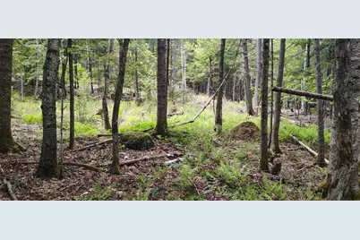 463 Clover Mill Road, Farmington, ME 04938 - Photo 24
