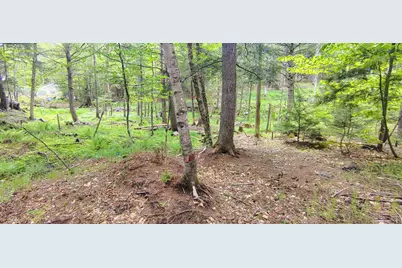 463 Clover Mill Road, Farmington, ME 04938 - Photo 22