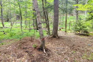 463 Clover Mill Rd, Farmington, ME 04938 - Photo 22