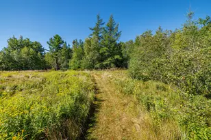 555 Falls Bridge Rd, Blue Hill, ME 04614 - Photo 74
