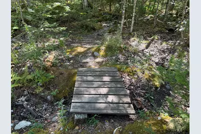 M-9,L-54C Back Shore Road, Bristol, ME 04539 - Photo 18