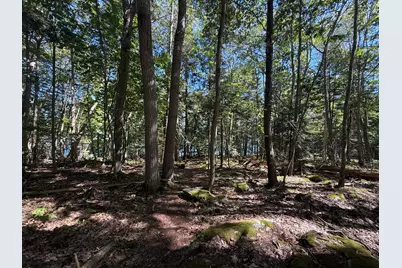 M-9,L-54C Back Shore Road, Bristol, ME 04539 - Photo 12