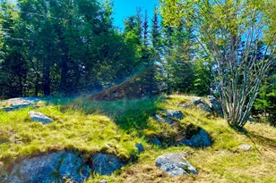 490 Seawall Rd, Southwest Harbor, ME 04679 - Photo 62
