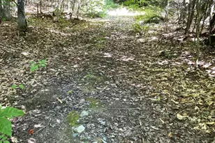 Lot#16M-2 Campbell Rd, Kingsbury Plt, ME 04660 - Photo 20