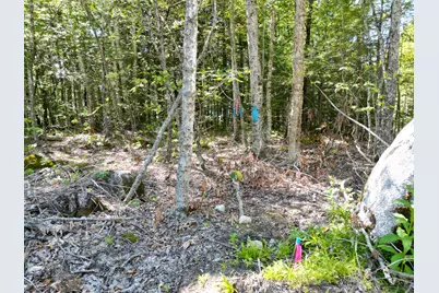 30 Merganser Lane, Lincoln, ME 04457 - Photo 8