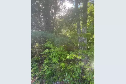Lot 2 W Side Unionville Road, Steuben, ME 04680 - Photo 2