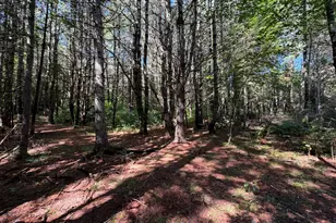 36 S Rd, Lee, ME 04455 - Photo 22