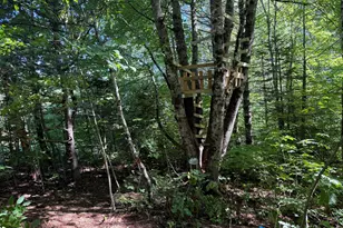 36 S Rd, Lee, ME 04455 - Photo 6