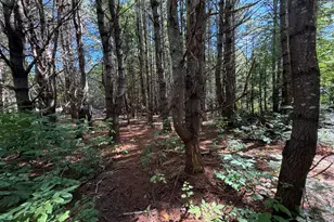 36 S Rd, Lee, ME 04455 - Photo 30