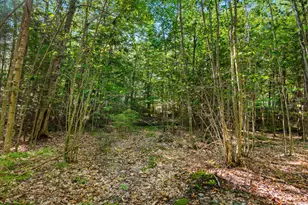 33 Anthoine Rd, Windham, ME 04062 - Photo 46
