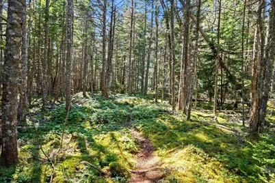 Lot 15 Ackley Road, Cutler, ME 04626 - Photo 18
