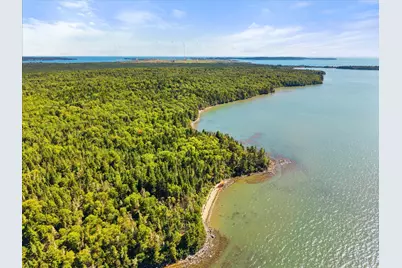 Lot 15 Ackley Road, Cutler, ME 04626 - Photo 8