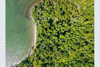 Lot 15 Ackley Road, Cutler, ME 04626 - Photo 12