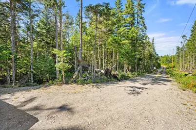 Lot 15 Ackley Road, Cutler, ME 04626 - Photo 20