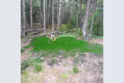1151 Windward Way, Addison, ME 04606 - Photo 6