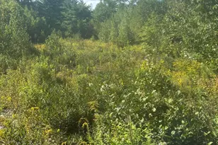 Lot 4 W Side Unionville Rd, Steuben, ME 04680 - Photo 1