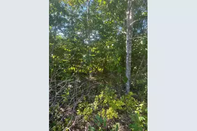 Lot 3 W Side Unionville Road, Steuben, ME 04680 - Photo 1