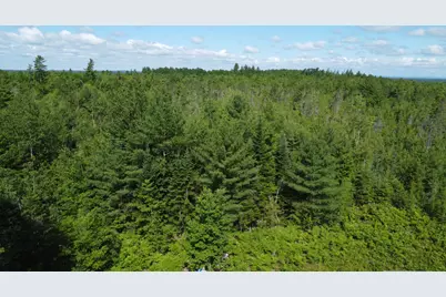 030-007 Off Cardville Road, Greenbush, ME 04418 - Photo 1