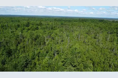 030-007 Off Cardville Road, Greenbush, ME 04418 - Photo 10
