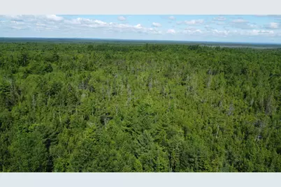 030-007 Off Cardville Road, Greenbush, ME 04418 - Photo 4