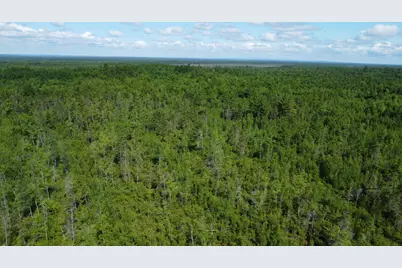 030-007 Off Cardville Road, Greenbush, ME 04418 - Photo 6