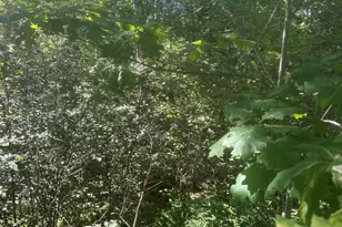 Lot 5 W Side Unionville Rd, Steuben, ME 04680 - Photo 1