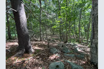 212 River Road, Bucksport, ME 04416 - Photo 10