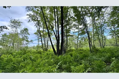P/0 M20L19 Carter Hill Road, Fryeburg, ME 04037 - Photo 10