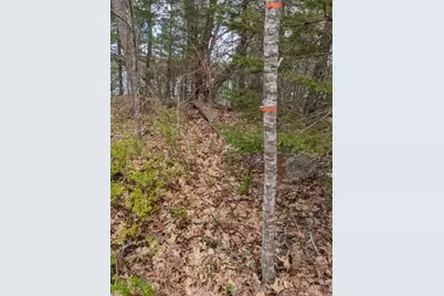 Lot 16-3B Blaisdell Cemetery Road, Sullivan, ME 04664 - Photo 6